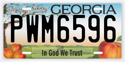 GA license plate PWM6596