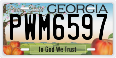 GA license plate PWM6597