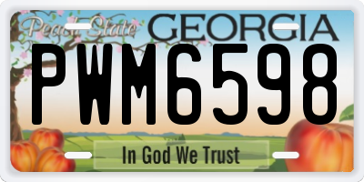 GA license plate PWM6598