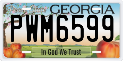 GA license plate PWM6599