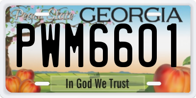 GA license plate PWM6601