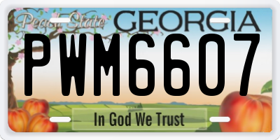 GA license plate PWM6607