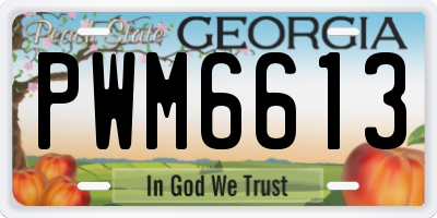 GA license plate PWM6613