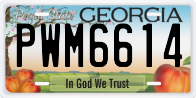 GA license plate PWM6614