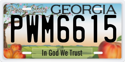 GA license plate PWM6615