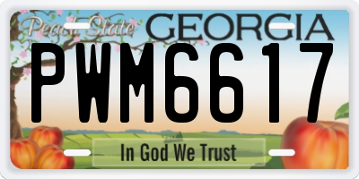 GA license plate PWM6617