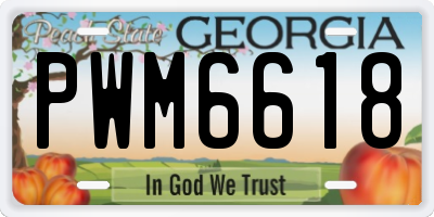 GA license plate PWM6618