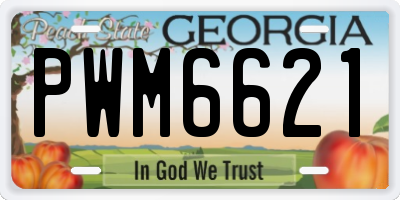 GA license plate PWM6621
