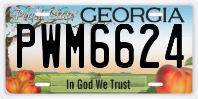 GA license plate PWM6624