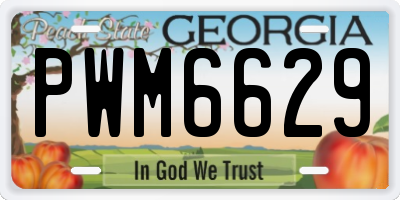 GA license plate PWM6629