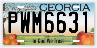 GA license plate PWM6631