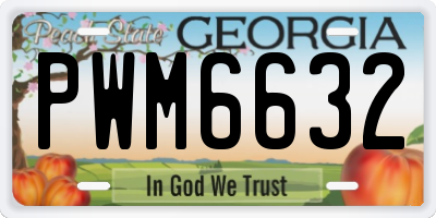 GA license plate PWM6632