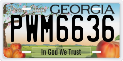 GA license plate PWM6636
