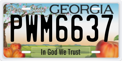 GA license plate PWM6637