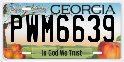 GA license plate PWM6639