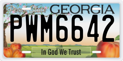 GA license plate PWM6642