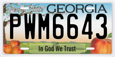 GA license plate PWM6643
