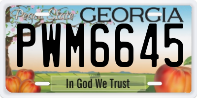 GA license plate PWM6645