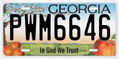 GA license plate PWM6646
