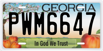GA license plate PWM6647