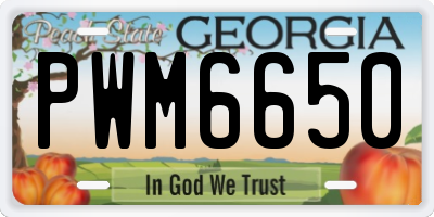GA license plate PWM6650
