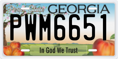 GA license plate PWM6651