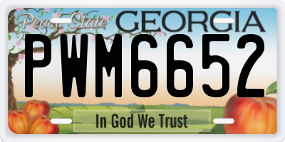 GA license plate PWM6652