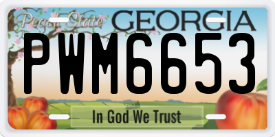 GA license plate PWM6653