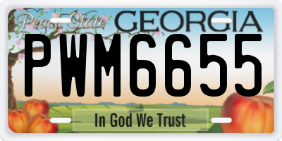 GA license plate PWM6655