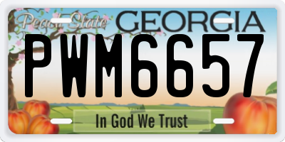 GA license plate PWM6657