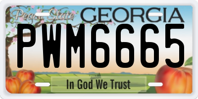 GA license plate PWM6665