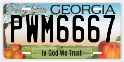 GA license plate PWM6667