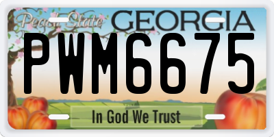 GA license plate PWM6675