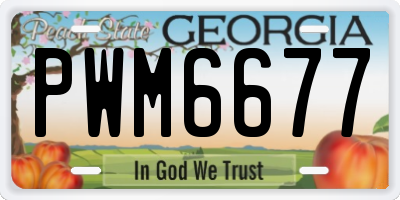 GA license plate PWM6677