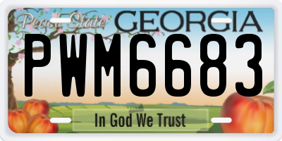 GA license plate PWM6683