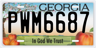 GA license plate PWM6687