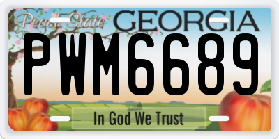 GA license plate PWM6689