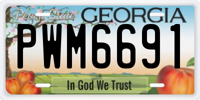 GA license plate PWM6691