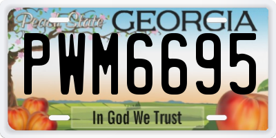 GA license plate PWM6695