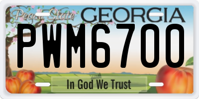 GA license plate PWM6700
