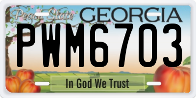 GA license plate PWM6703