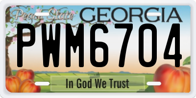 GA license plate PWM6704