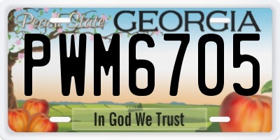 GA license plate PWM6705