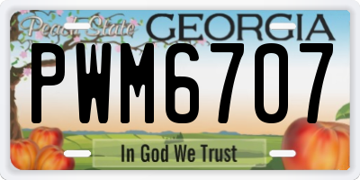 GA license plate PWM6707