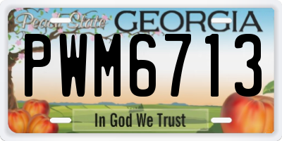 GA license plate PWM6713