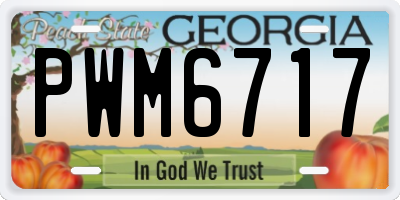 GA license plate PWM6717