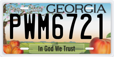 GA license plate PWM6721