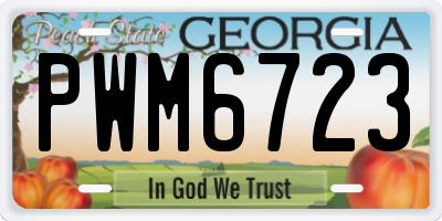 GA license plate PWM6723