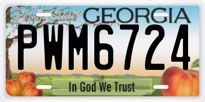 GA license plate PWM6724