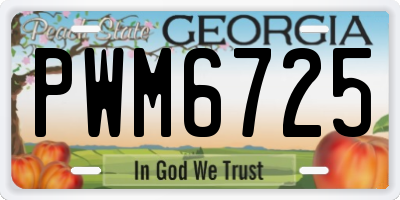 GA license plate PWM6725